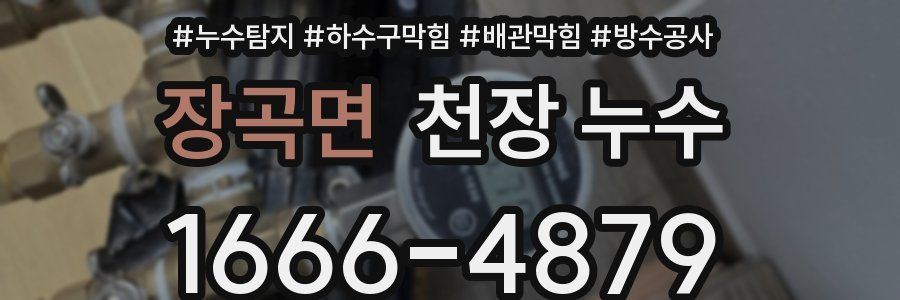 장곡면 천장 누수