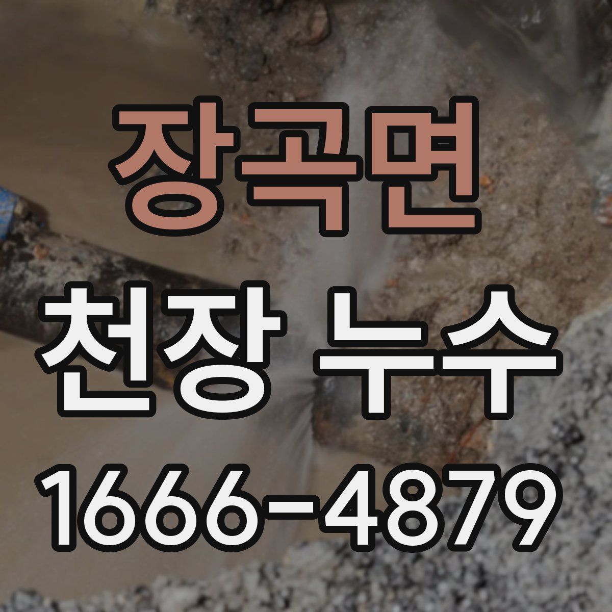 장곡면 천장 누수