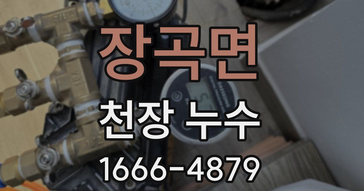 장곡면 천장 누수