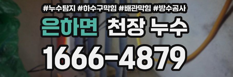 은하면 천장 누수