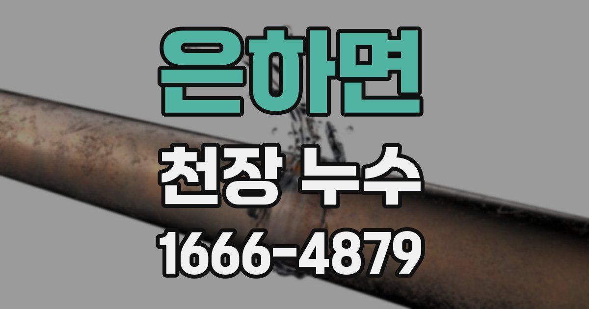 은하면 천장 누수