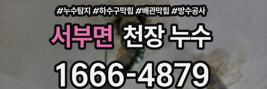 서부면 천장 누수