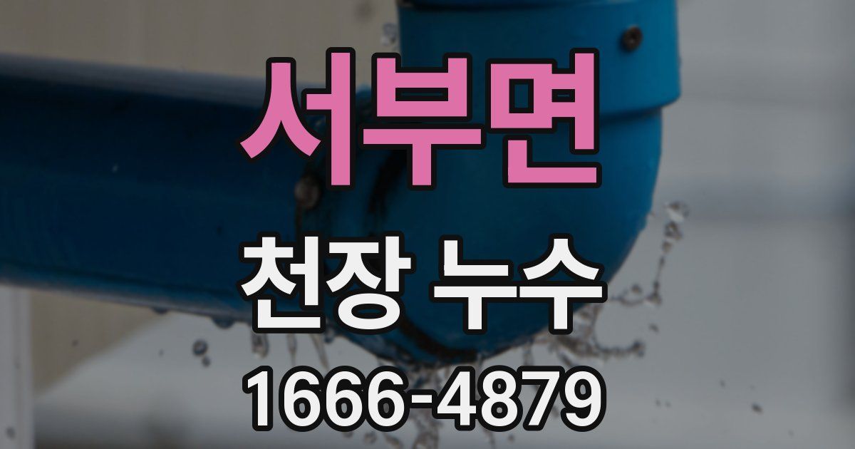 서부면 천장 누수