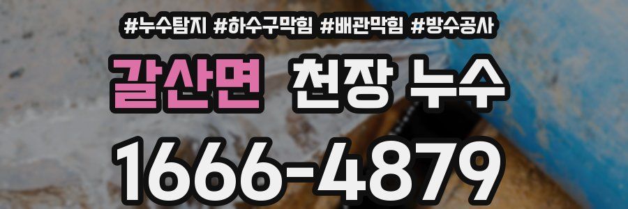 갈산면 천장 누수