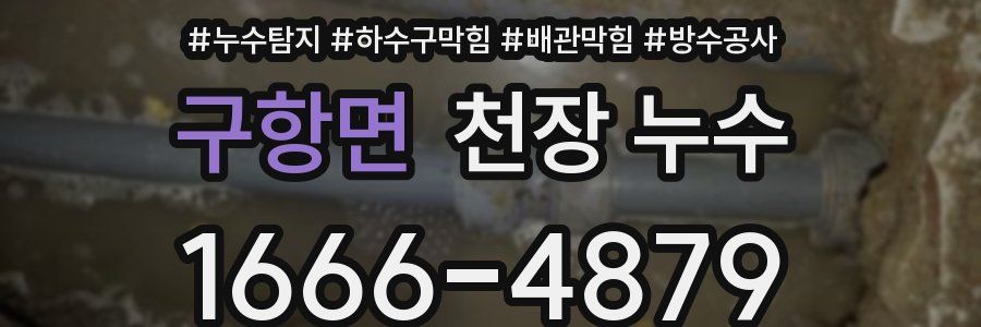 구항면 천장 누수