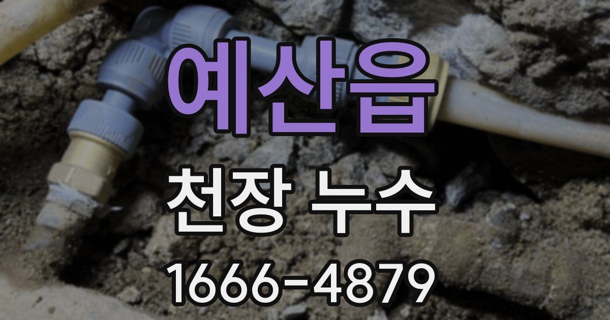 예산읍 천장 누수