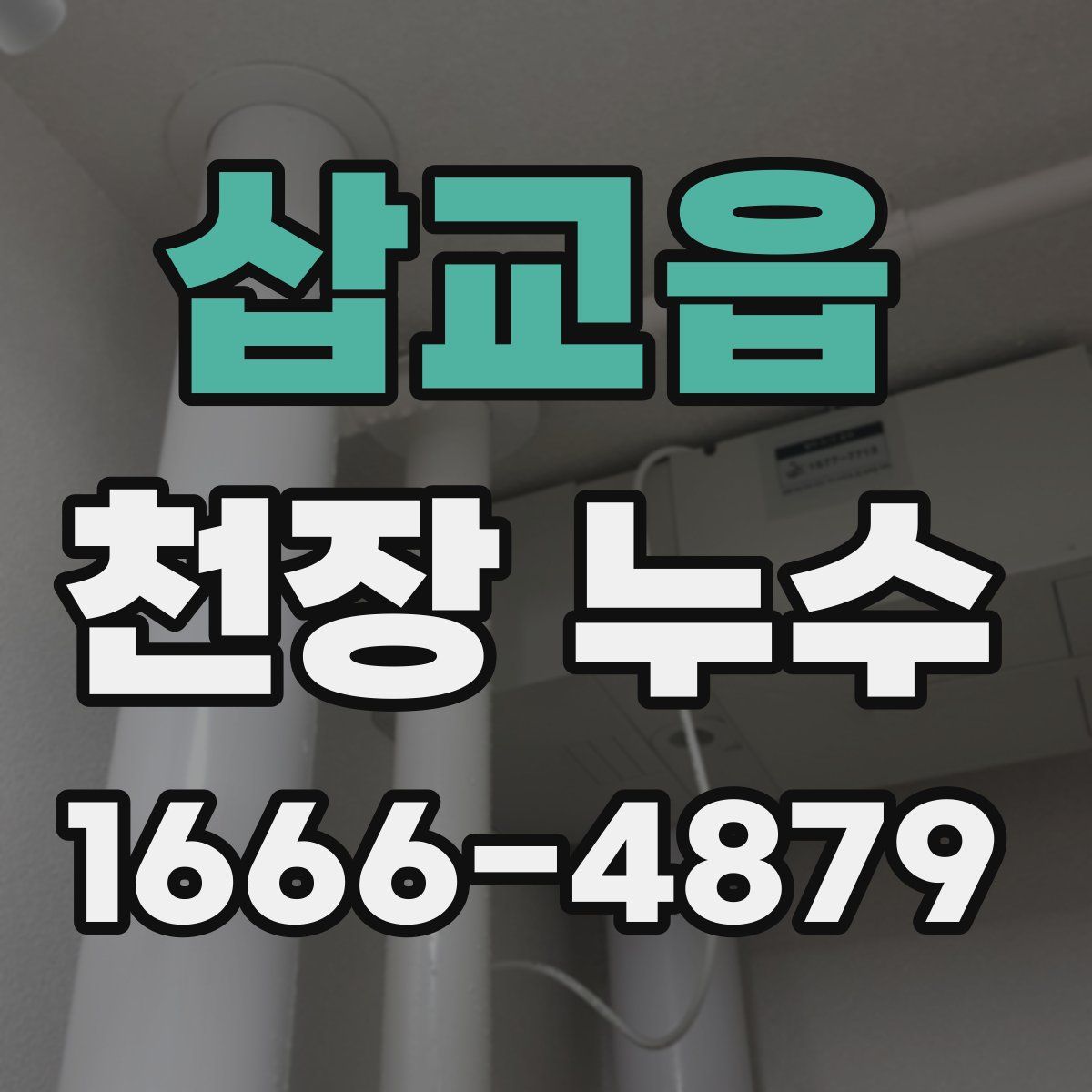 삽교읍 천장 누수