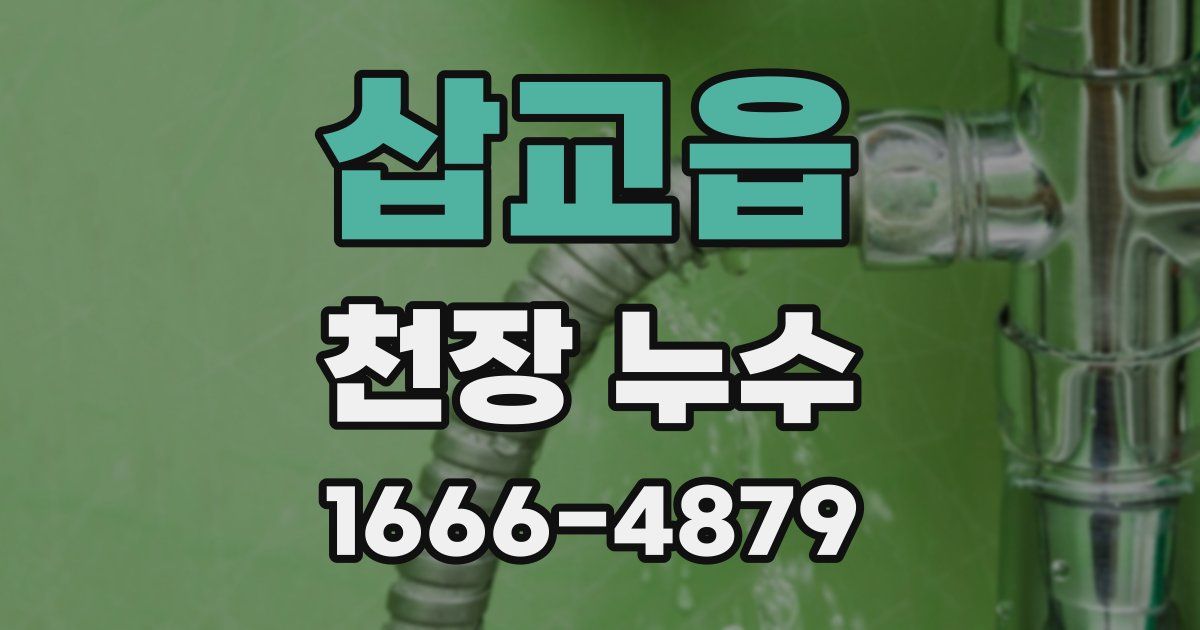 삽교읍 천장 누수