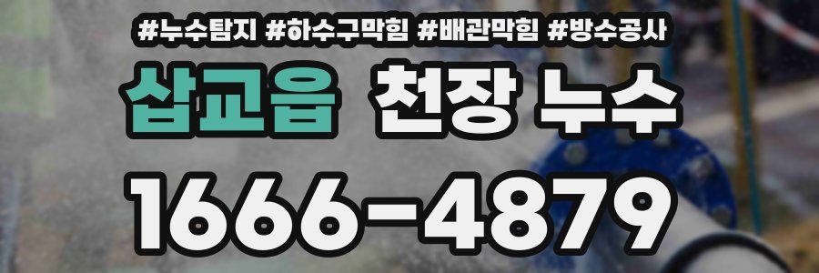 삽교읍 천장 누수