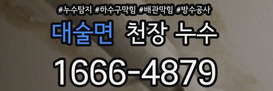 대술면 천장 누수