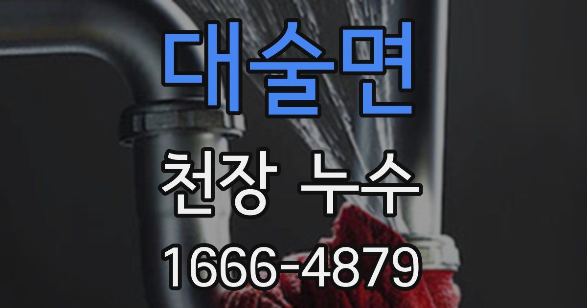 대술면 천장 누수