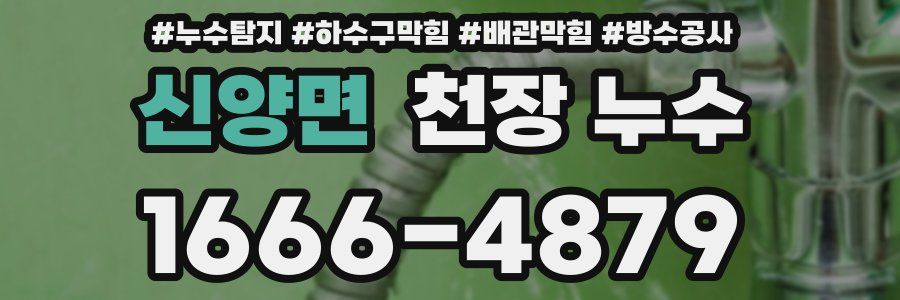 신양면 천장 누수