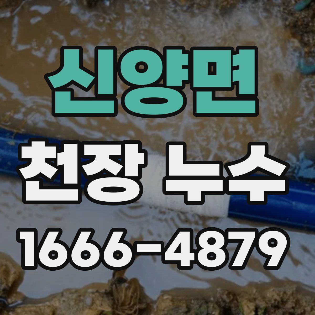 신양면 천장 누수