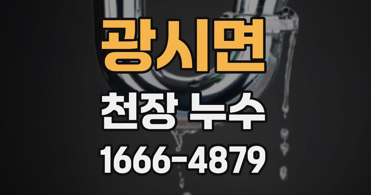 광시면 천장 누수