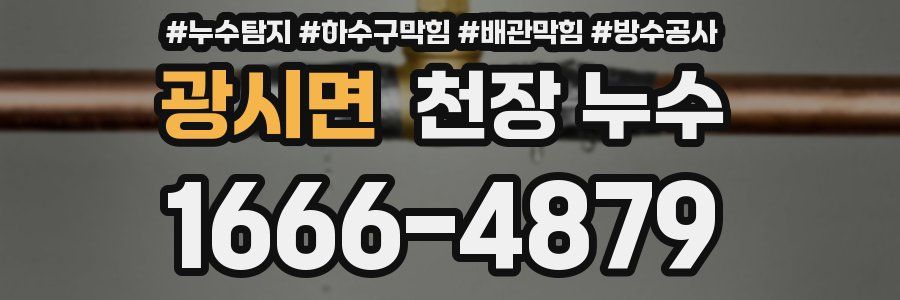 광시면 천장 누수