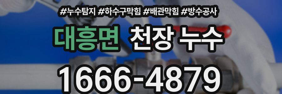 대흥면 천장 누수