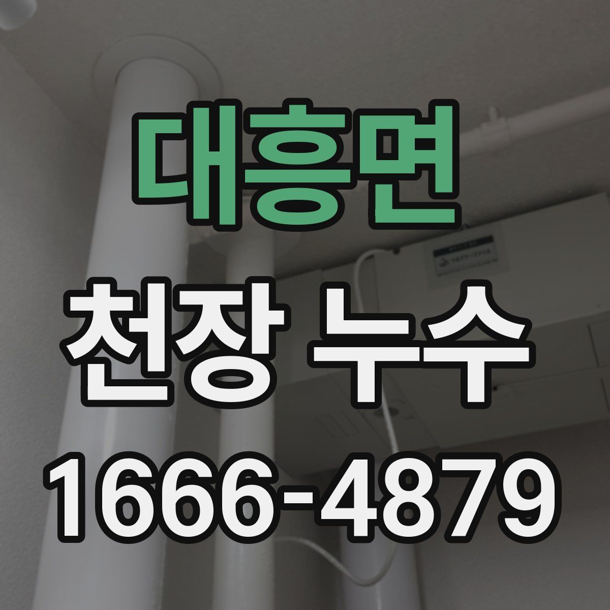 대흥면 천장 누수
