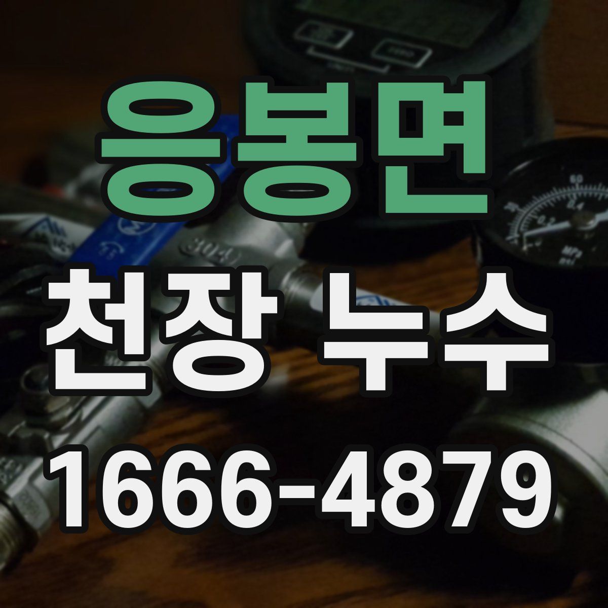 응봉면 천장 누수