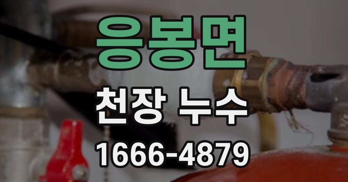 응봉면 천장 누수
