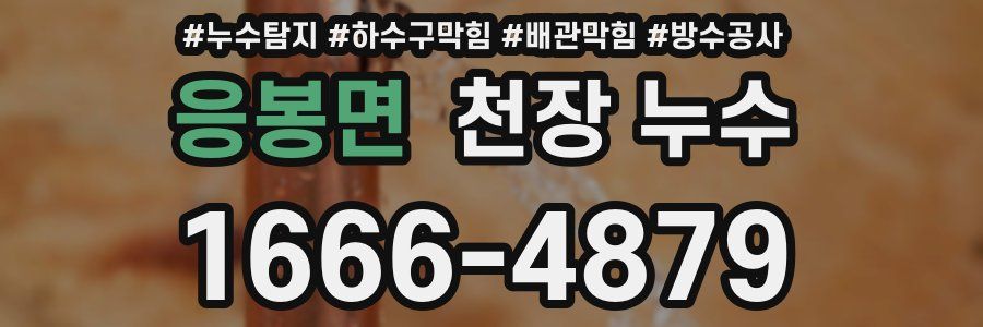 응봉면 천장 누수