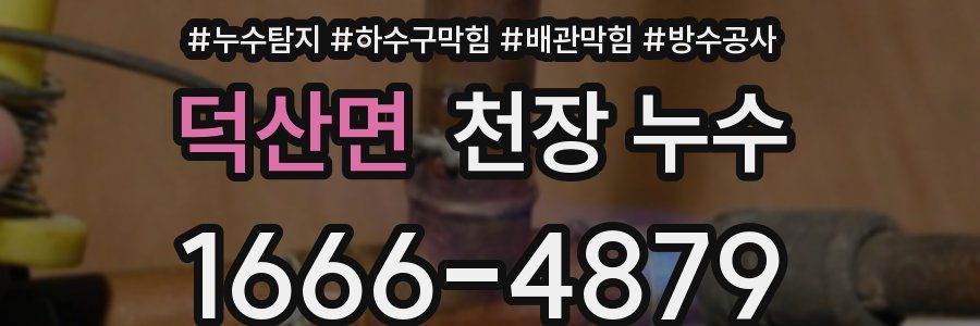 덕산면 천장 누수