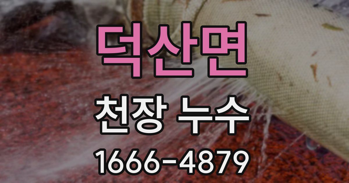 덕산면 천장 누수