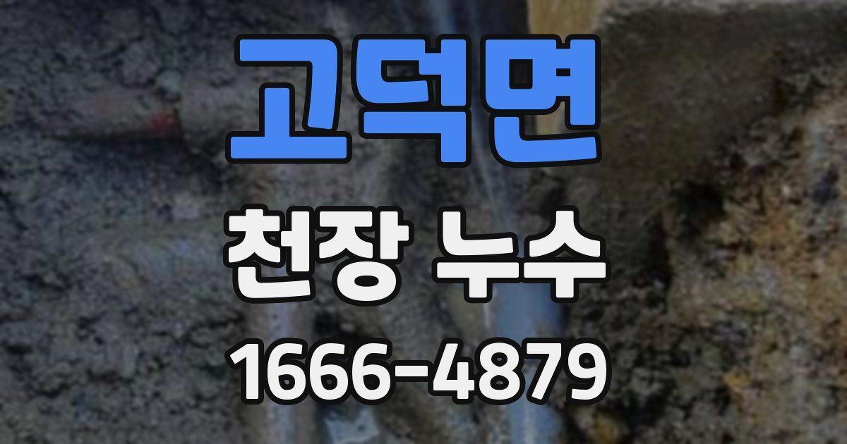 고덕면 천장 누수