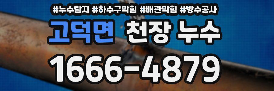 고덕면 천장 누수