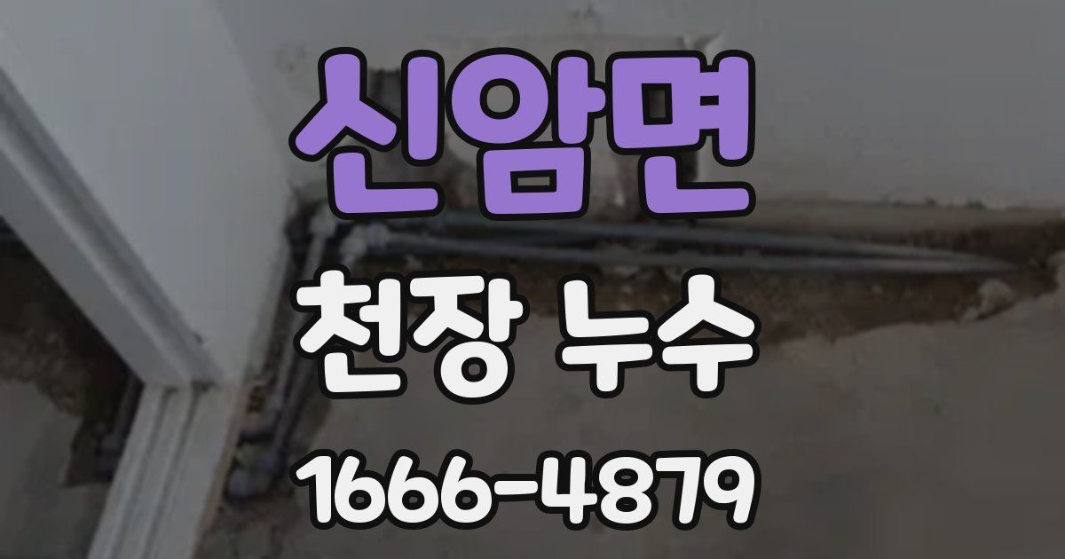 신암면 천장 누수