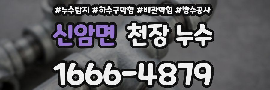 신암면 천장 누수