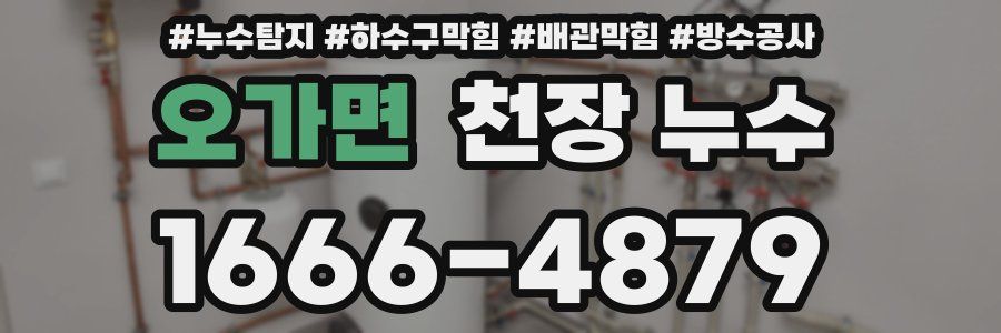 오가면 천장 누수