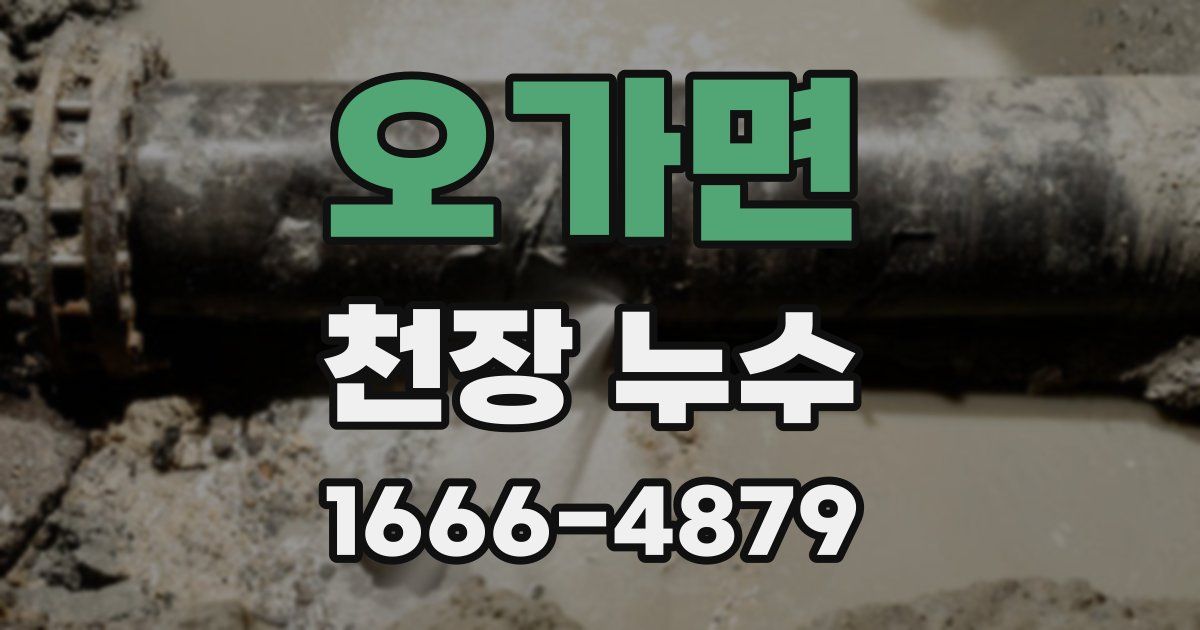 오가면 천장 누수