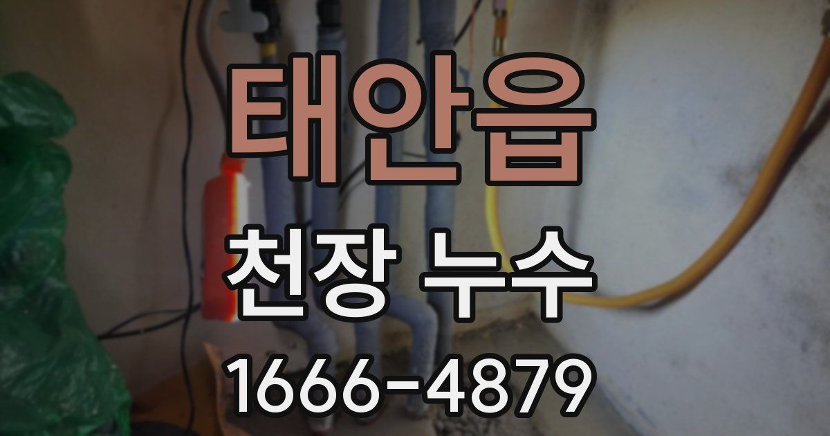 태안읍 천장 누수