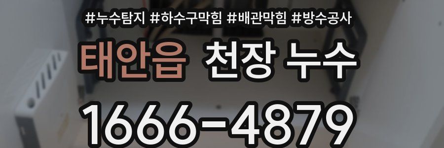 태안읍 천장 누수