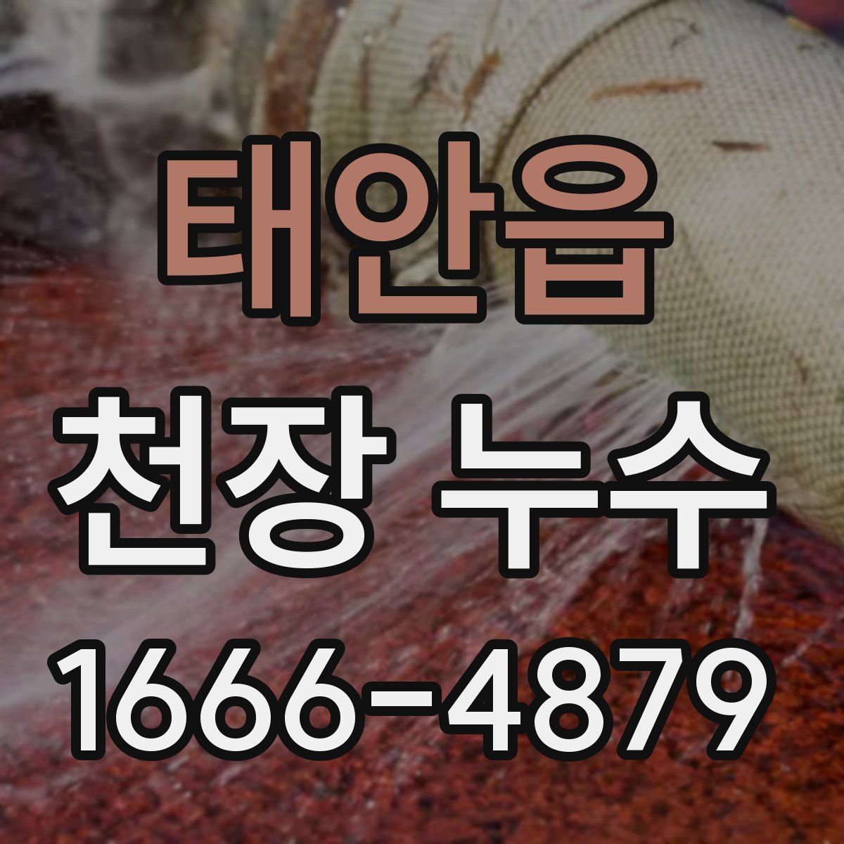 태안읍 천장 누수
