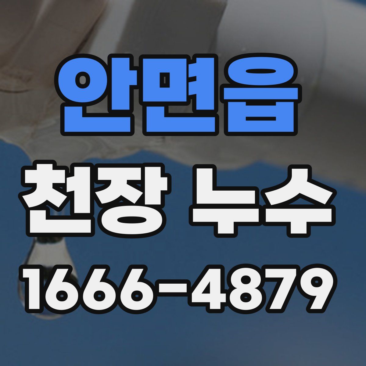 안면읍 천장 누수