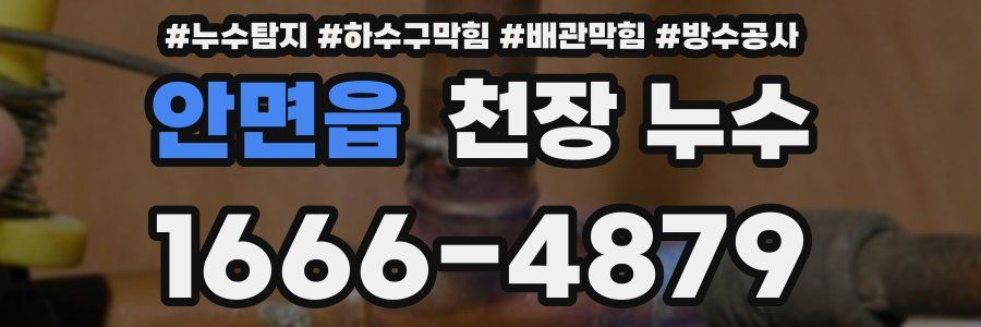 안면읍 천장 누수