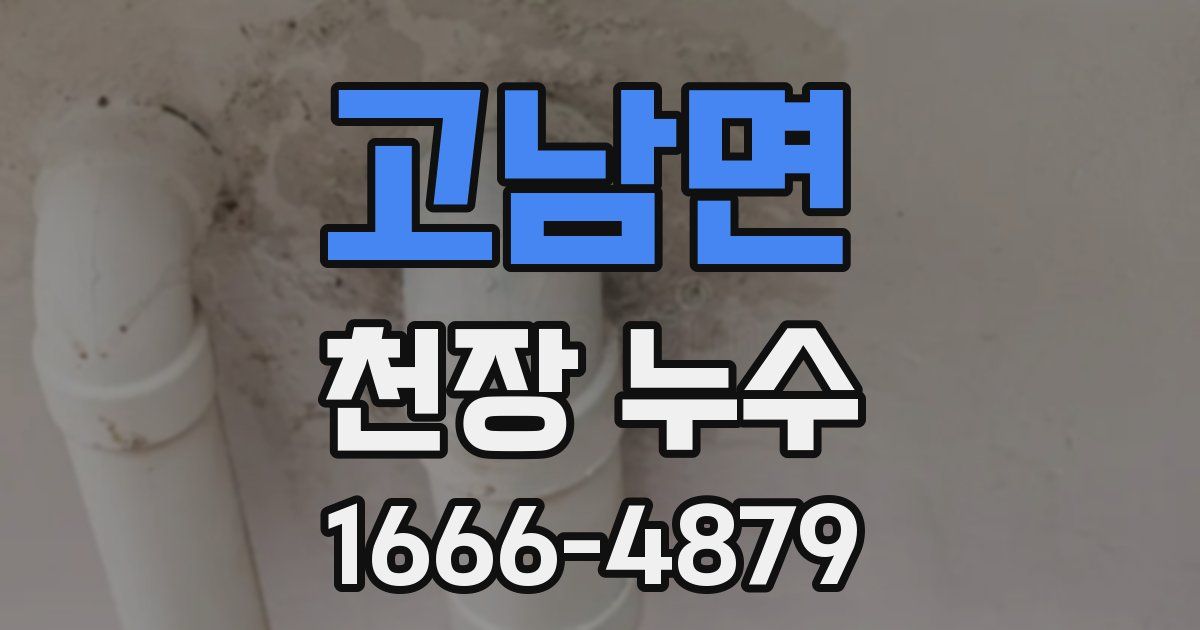 고남면 천장 누수
