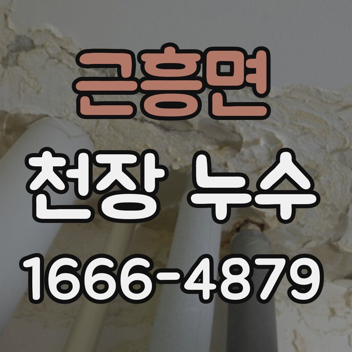 근흥면 천장 누수
