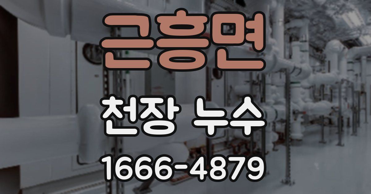 근흥면 천장 누수