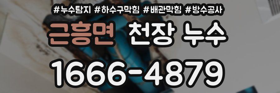 근흥면 천장 누수