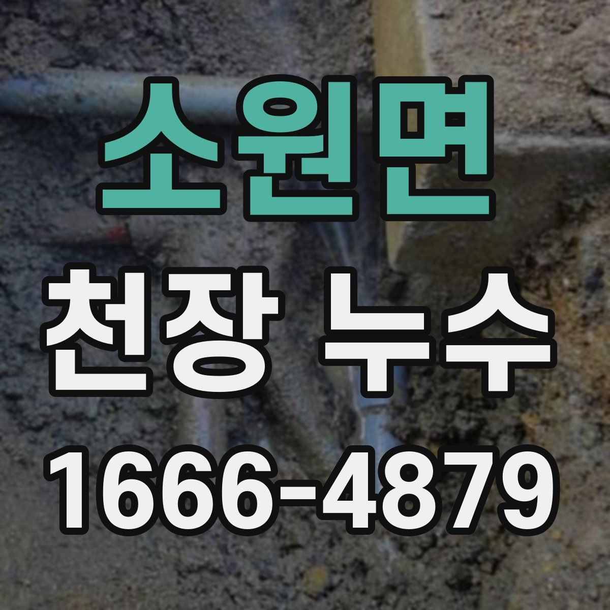 소원면 천장 누수