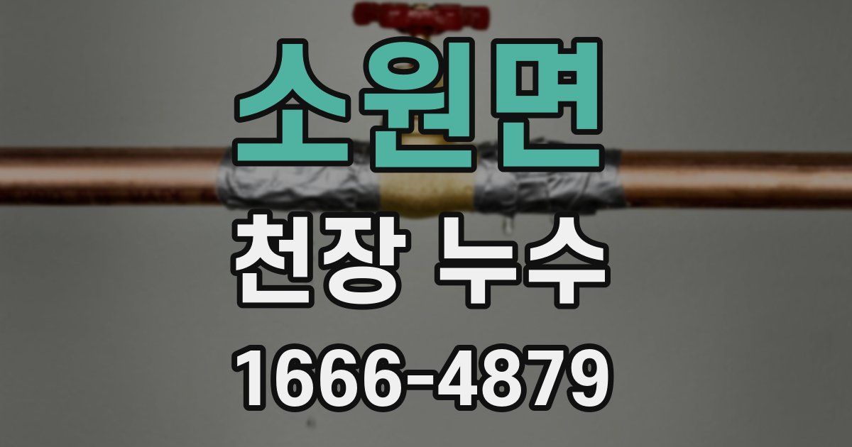 소원면 천장 누수