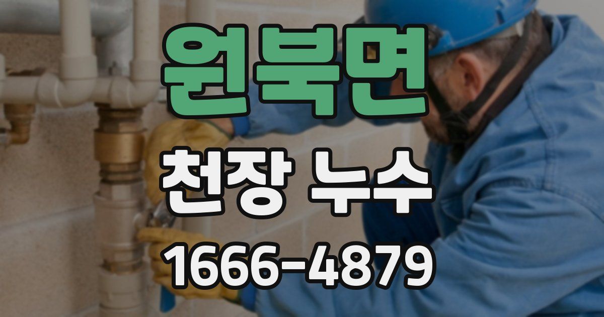 원북면 천장 누수