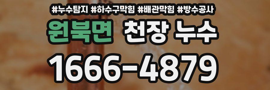 원북면 천장 누수