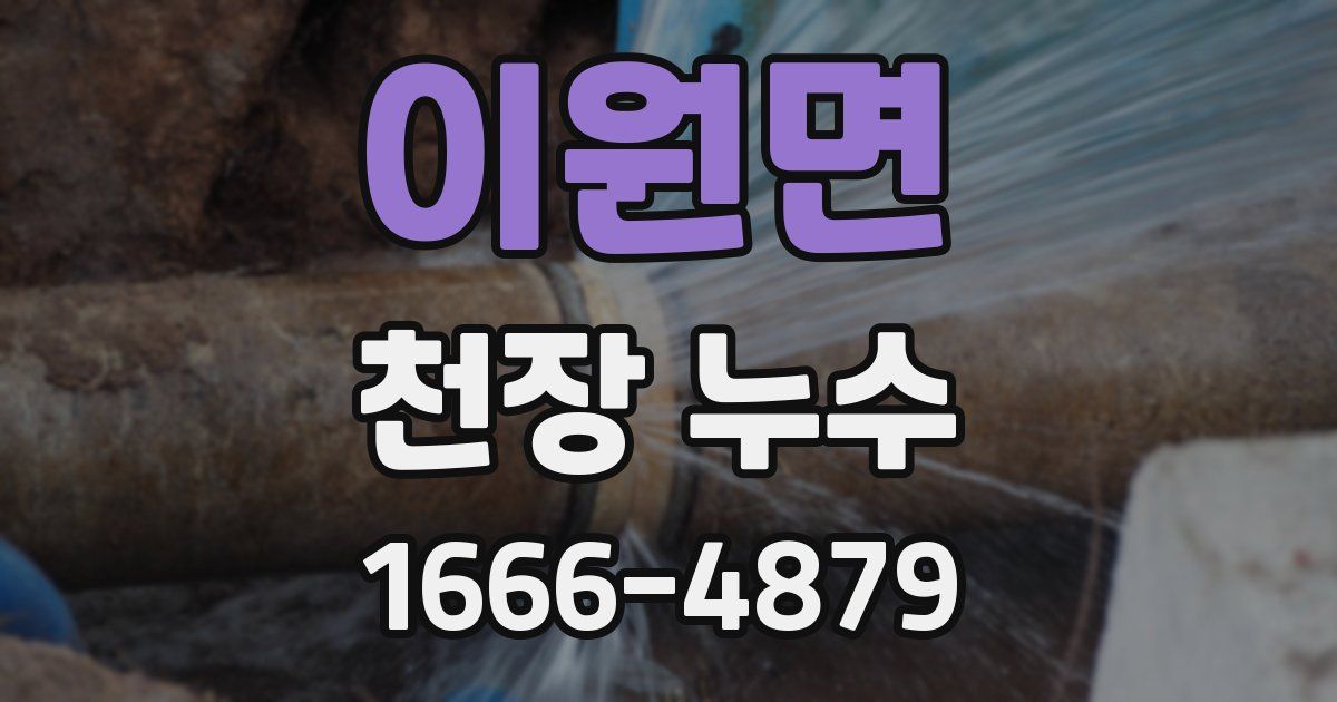 이원면 천장 누수