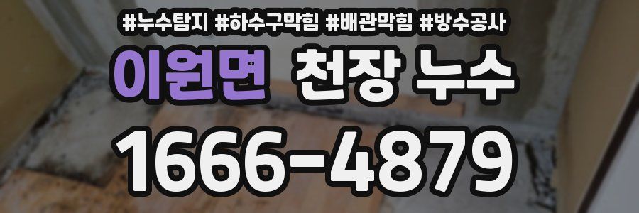 이원면 천장 누수