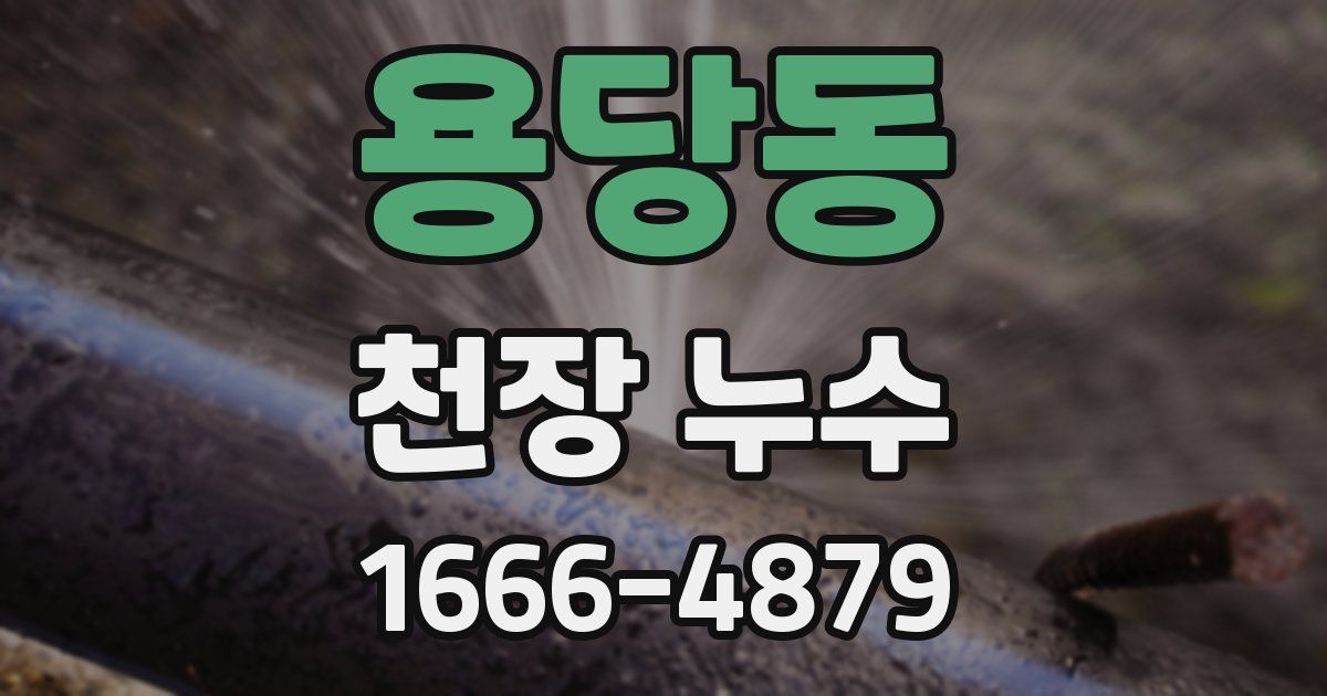 용당동 천장 누수