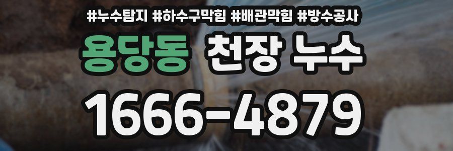 용당동 천장 누수