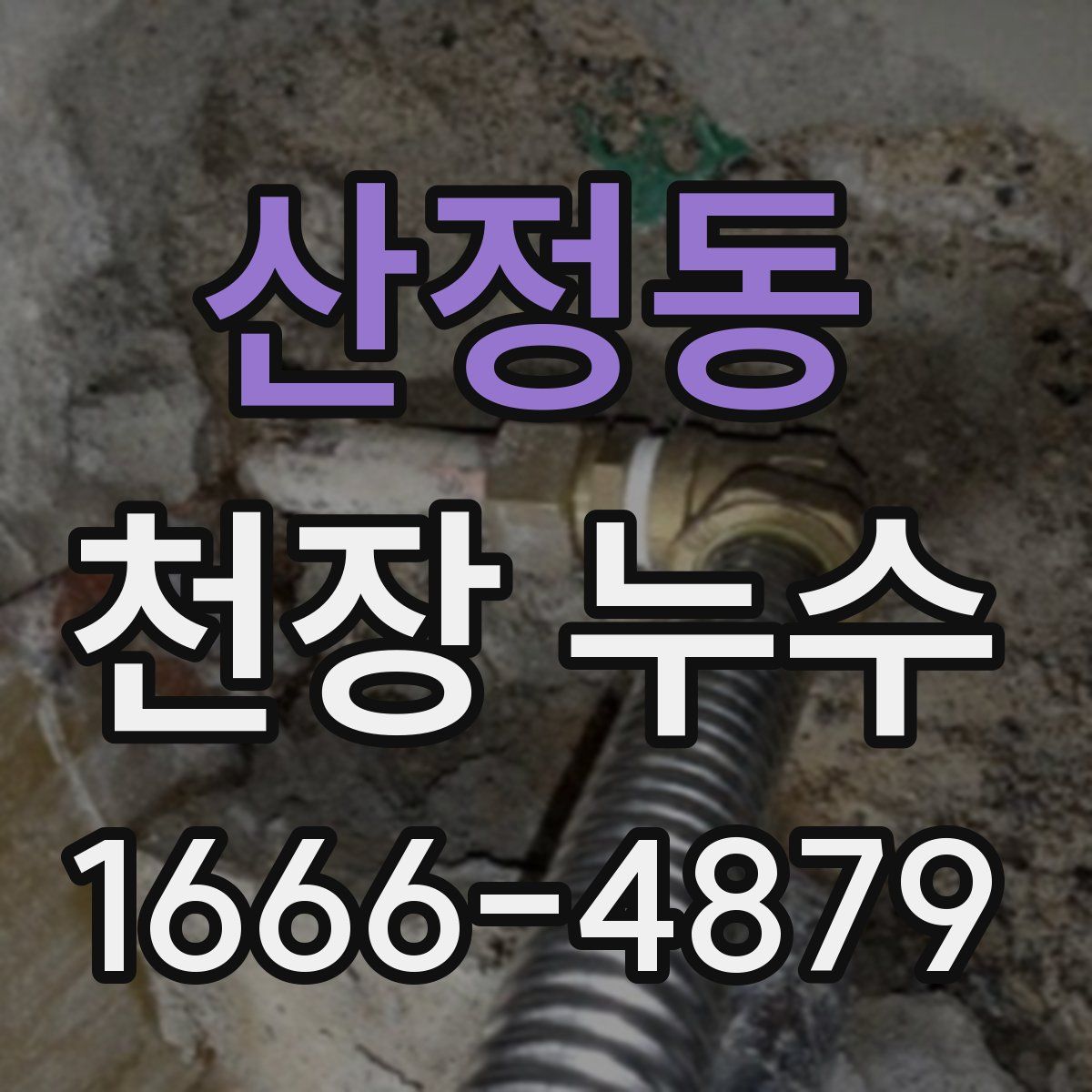 산정동 천장 누수